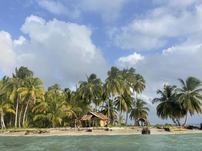 Isla de palmeras